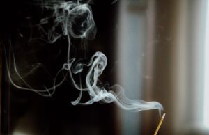 Allegiant Air Flight Attendant: A Day in the Skies Photo Allegiant Air Flight Attendant