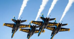 Meet the Friendly FlySafair Flight Attendant FlySafair Flight Attendant